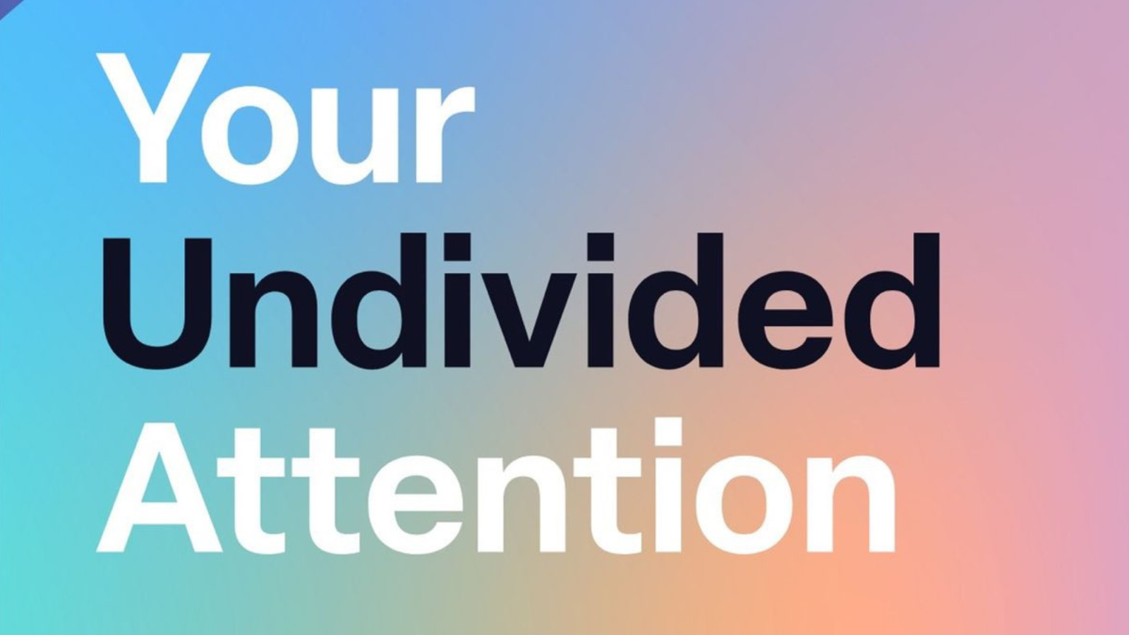 Your Undivided Attention